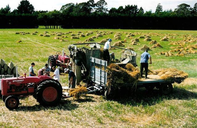 Chaff Cutting