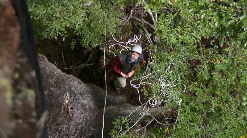 Simon took this photo of Adam from up the tree
