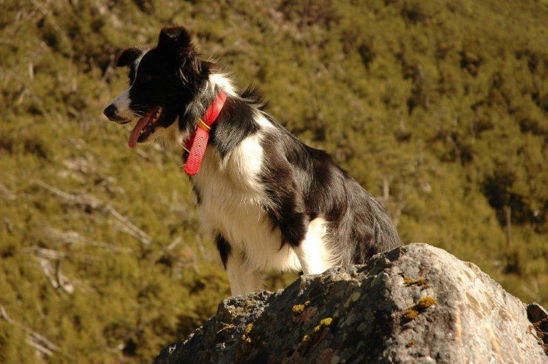 Jessie looking for me