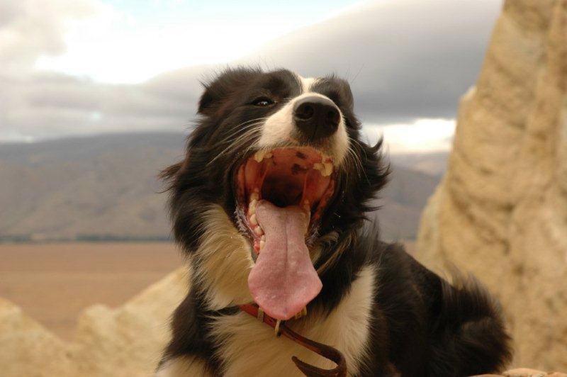 Jessie laughing at me