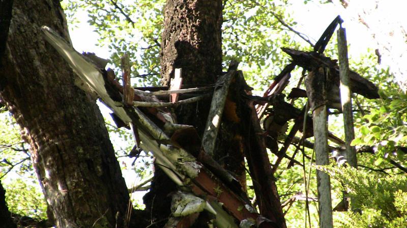 The wreckage as Simon saw it from up the tree