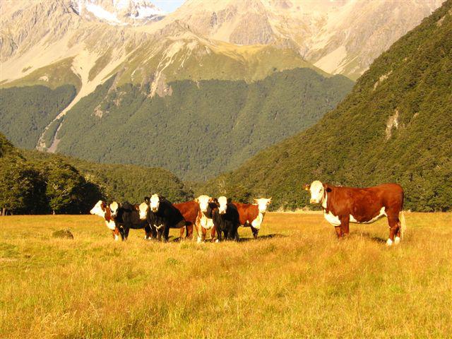 Some of the friendly locals